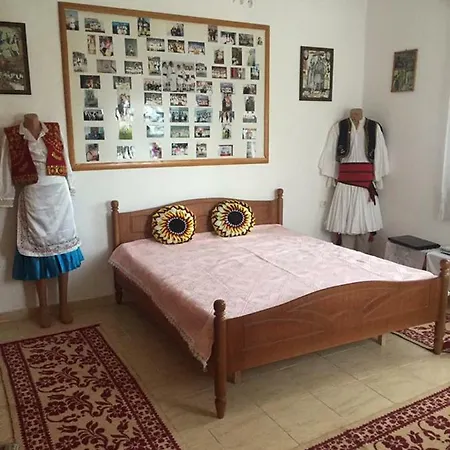 Pensionat Vila Cipa Pilur