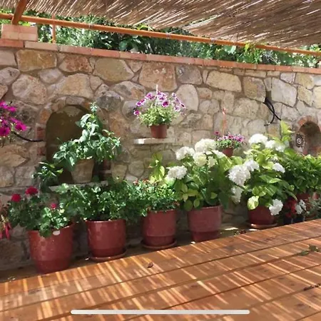 Vila Cipa Pensionat